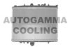 PEUGE 1331FX Radiator, engine cooling